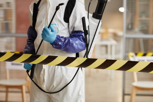 Professional Sewage Cleanup technician working in Laurel, FL